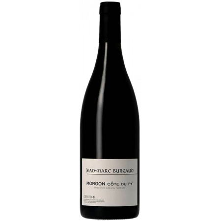 Morgon Cote du Py 2022