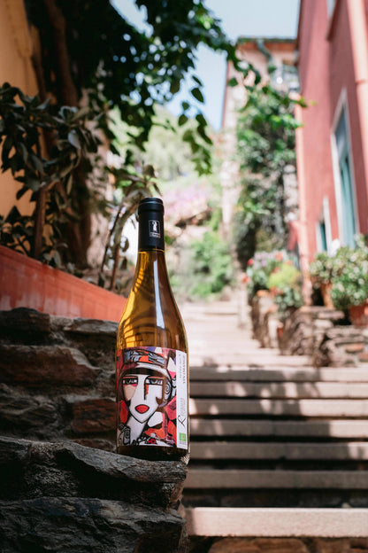 Scène n°5 Vin Orange 2025