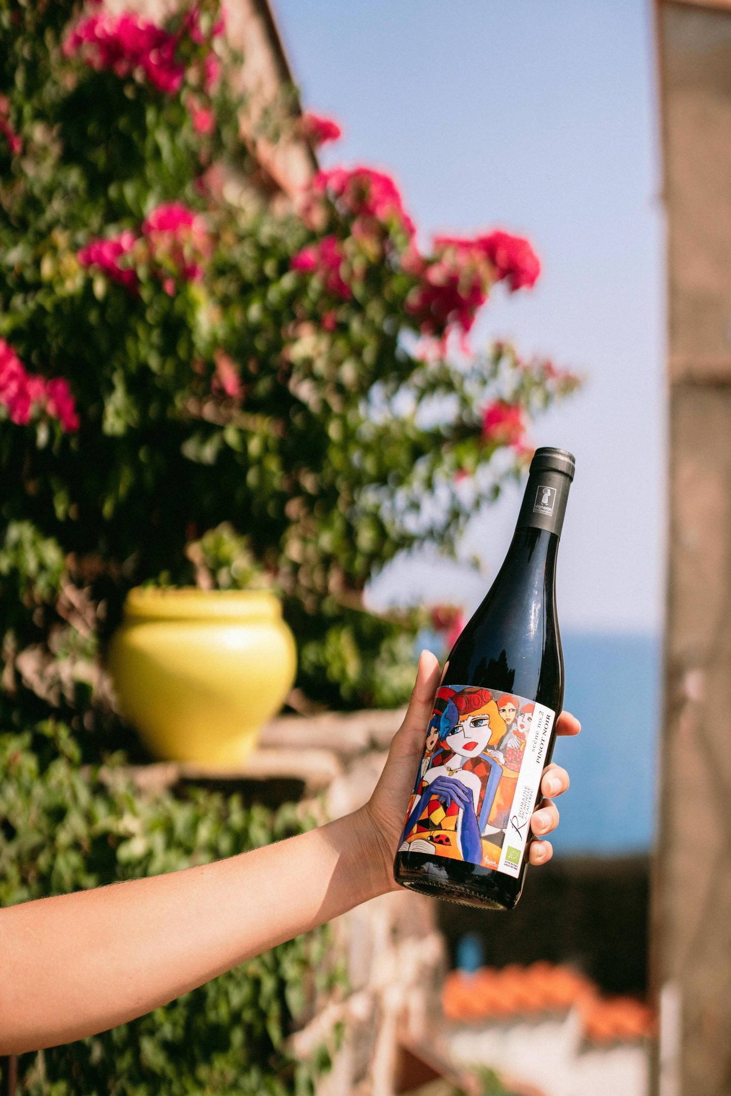 Scène n°2 Pinot Noir 2025